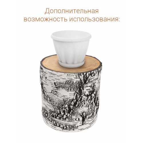 Фото Кашпо-пень "БЕРЕЗА" низкое со вставкой, объем 1.65 л (высота 15.5 см)