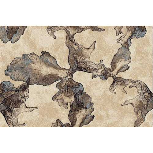 Фото Ковер Merinos Sierra D711, BEIGE-BROWN 2,00*3,00